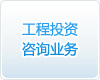 工程投資咨詢業務