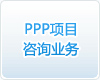 ppp項目咨詢業務